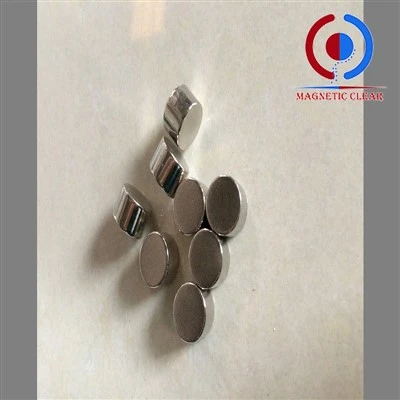 Neyodim Magnete